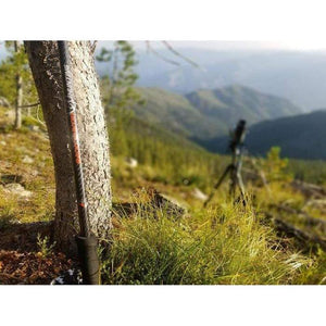 Backcountry Trekking Poles **DISCONTINUED**
